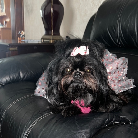 Wagatude Size Medium Mommy’s Sweetheart Dress! Tulle bottom with 🩷s! Valentine - Picture 5 of 8